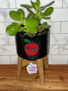 Mini Flower Pot and stand (Plant not included)